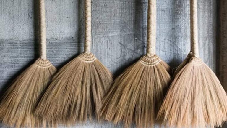 Vastu Tips: घर की इस दिशा में रख दीजिए झाड़ू, देवी लक्ष्मी हमेशा आपसे रहेंगी प्रसन्न, बरसाएंगी धन!