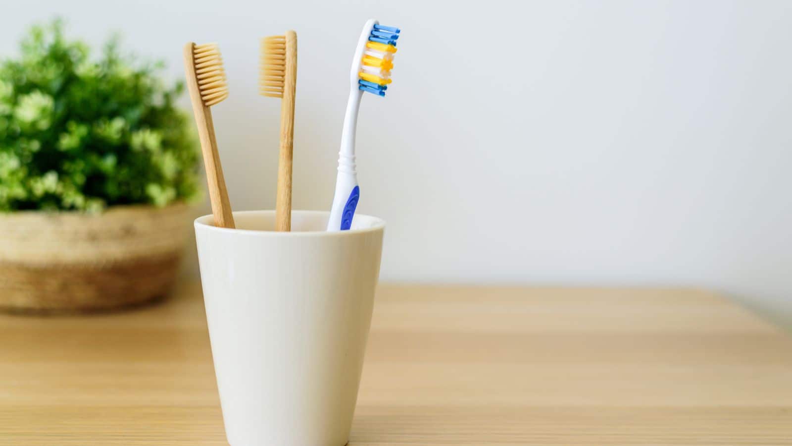Toothbrush: टूथब्रश पर बैठते हैं खतरनाक कीटाणु, जानिए ब्रश को कहां और कैसे रखें