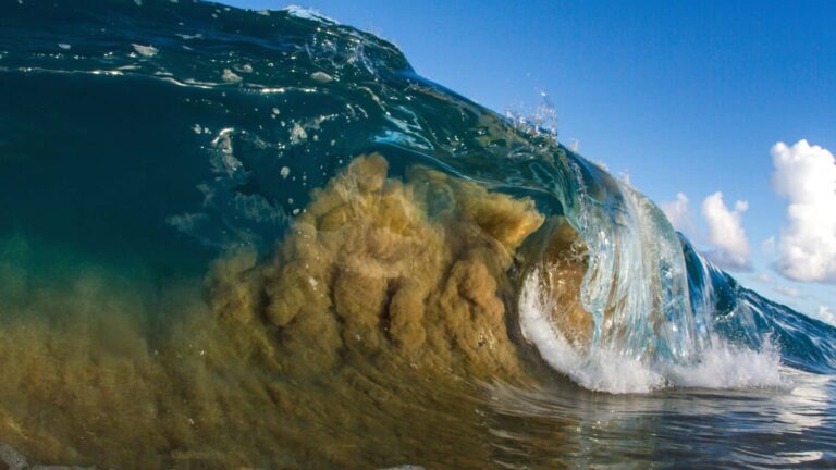 Tsunami: रूस और जापान में आया 8.8 तीव्रता का भूकंप, फिर उठने लगी 13 फीट ऊंची समुद्री लहरें