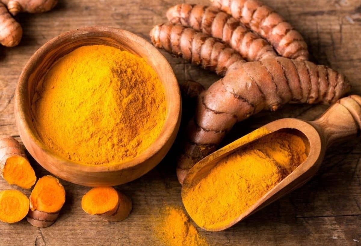 Turmeric Price: रिकवरी के बाद भी क्यों नहीं टिक पा रहे हल्दी के भाव, जानें कीमतों में दबाव की क्या है वजह