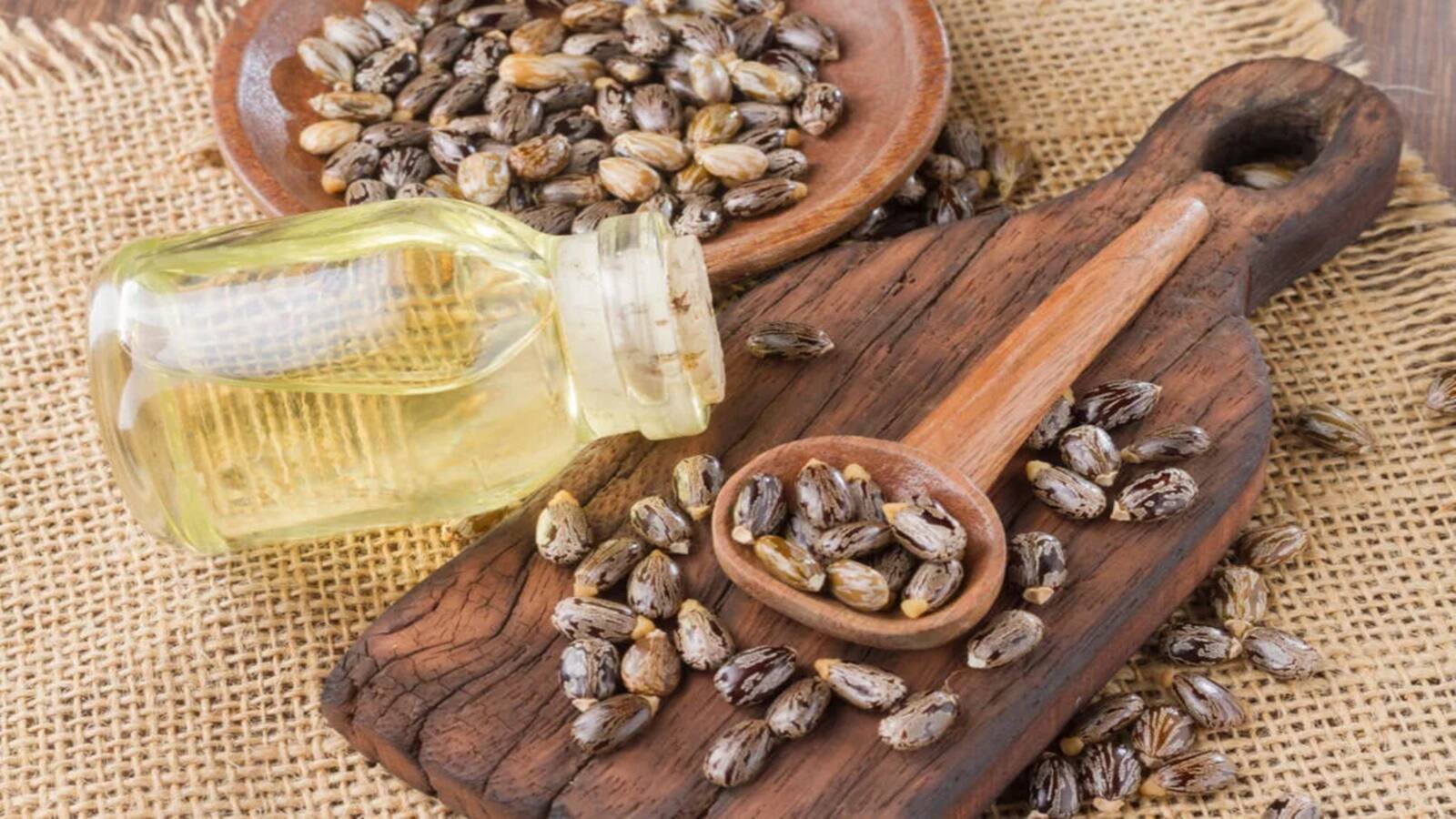 Vandan Foods IPO Listing: ₹115 का शेयर 28% प्रीमियम पर लिस्ट, फिर मुनाफावसूली में हुआ धड़ाम