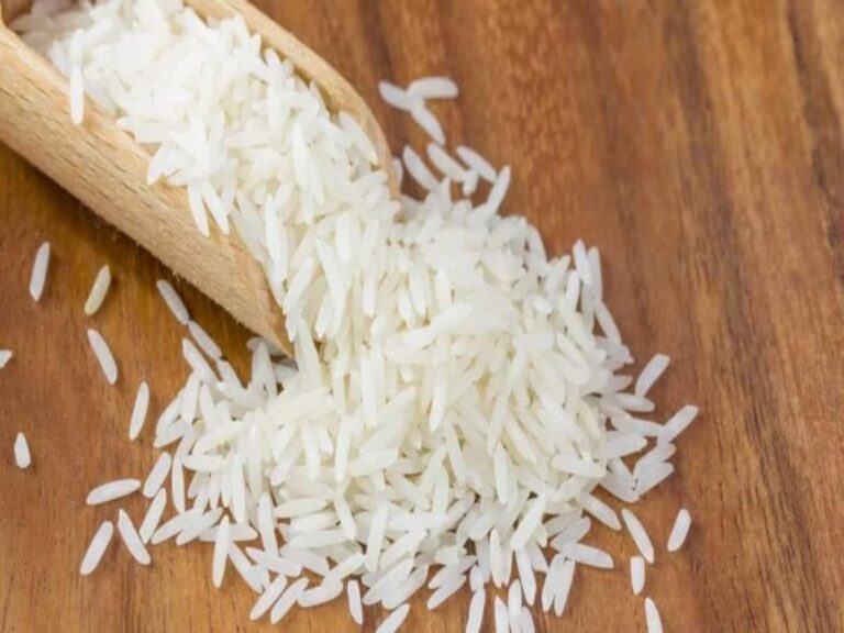 Rice Price Fall: इंटरनेशनल मार्केट में गिरे चावल के दाम, सप्लाई बढ़ने से कीमतों में दिख रहा असर