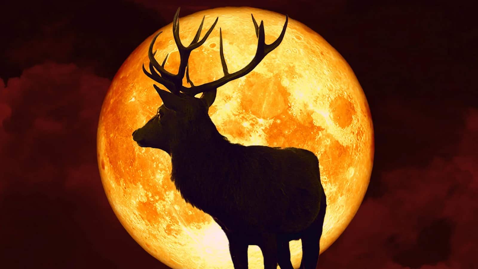 Guru Purnima 2025: आसमान में दिखेगा बक मून, जानिये क्या है इसका अर्थ और क्यों पड़ा ये नाम