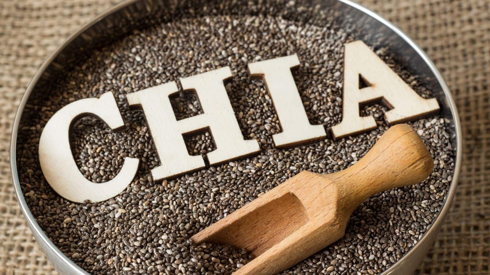Chia Seeds: 1 बीज में छिपे हैं 7 कमाल के फायदे, जानिए कैसे करें इस्तेमाल