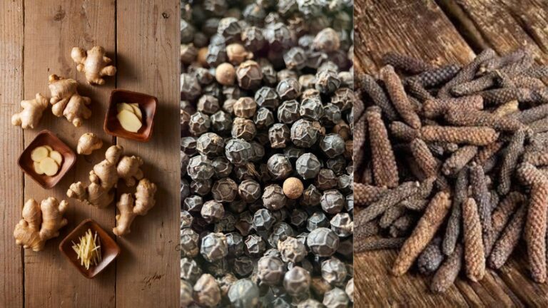 Diabetes: त्रिकटु चूर्ण से शुगर होगा काबू में, डायबिटीज मरीजों के लिए कारगर उपाय,जानिए कैसे करें सेवन