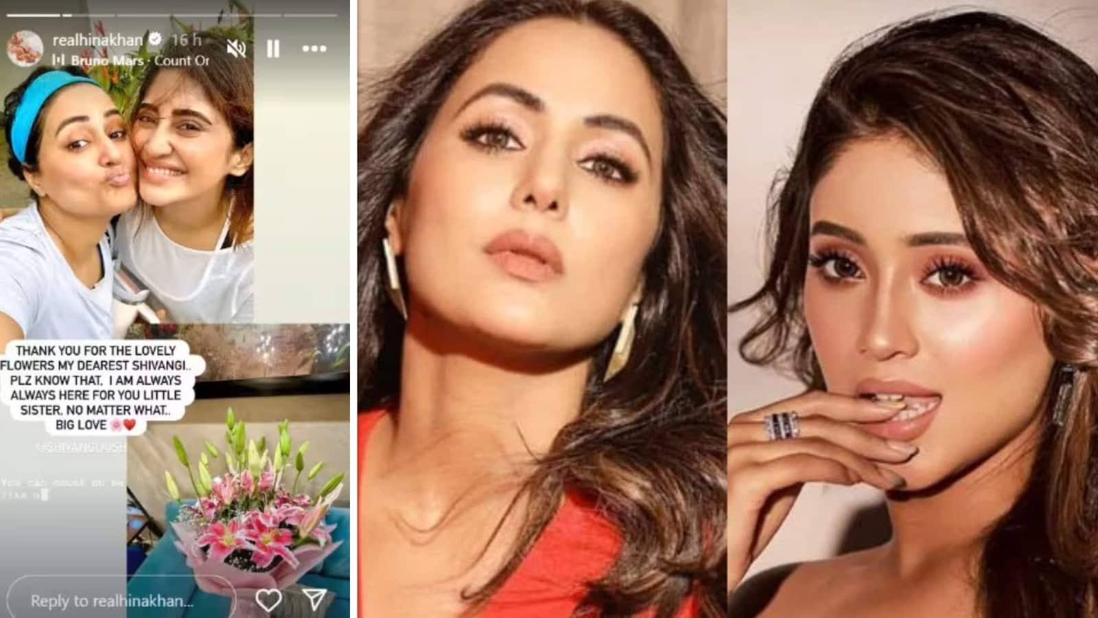 Hina Khan Post: कभी था इस हसीना से हिना का 36 का आंकड़ा, अब एक दूसरे पर जमकर लुटाया प्यार