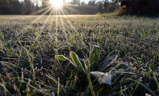 दक्षिणी अमेरिका में, हड्डियों तक में सिहरन पैदा करने वाली सर्दी