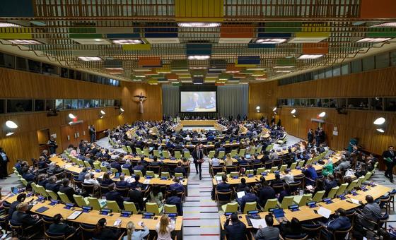 इसराइल - फ़लस्तीन के लिए दो-देश समाधन पर उच्च स्तरीय सम्मेलन, दूसरा दिन