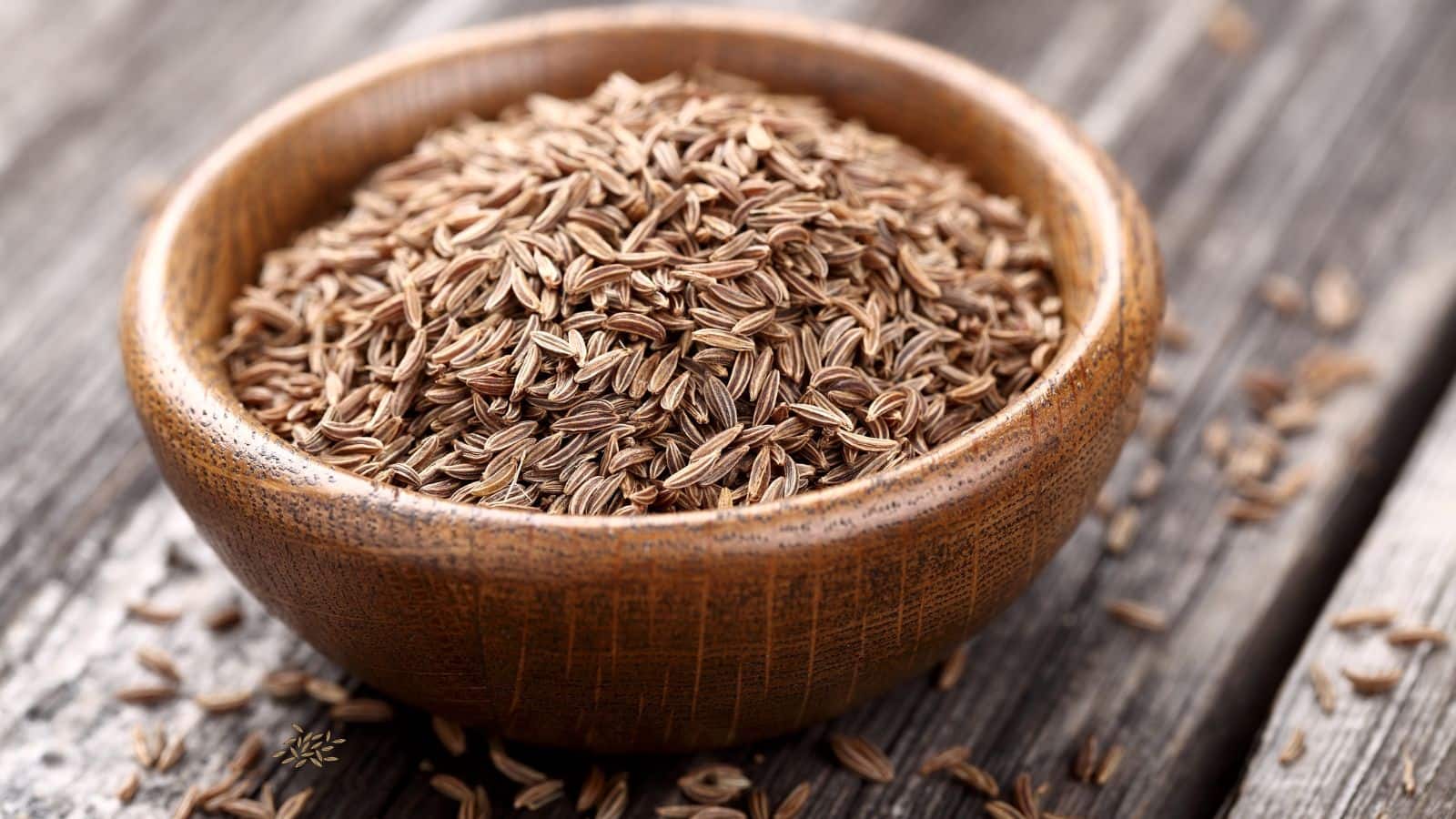 Vitamin B12 की कमी को जड़ से मिटा सकता है ये मसाला, जानें सेवन का सही तरीका