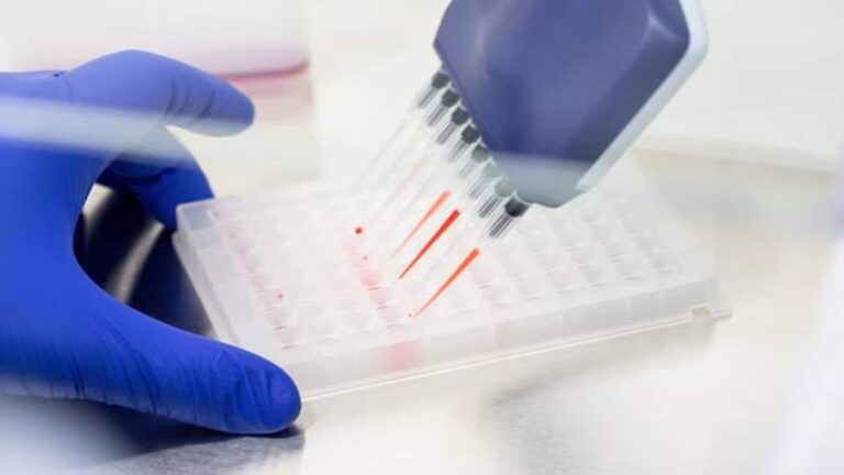 Laurus Labs का शेयर 7% उछला; छुआ 52 वीक का फ्रेश हाई; फिर ब्रोकरेज को क्यों है 33% गिरावट का अंदेशा
