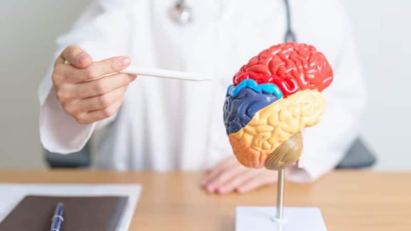 भूलने की आदत से पाना है छुटकारा? लाइफस्टाइल में लाएं ये छोटे-छोटे बदलाव जो बना देंगे दिमाग को सुपर एक्टिव!