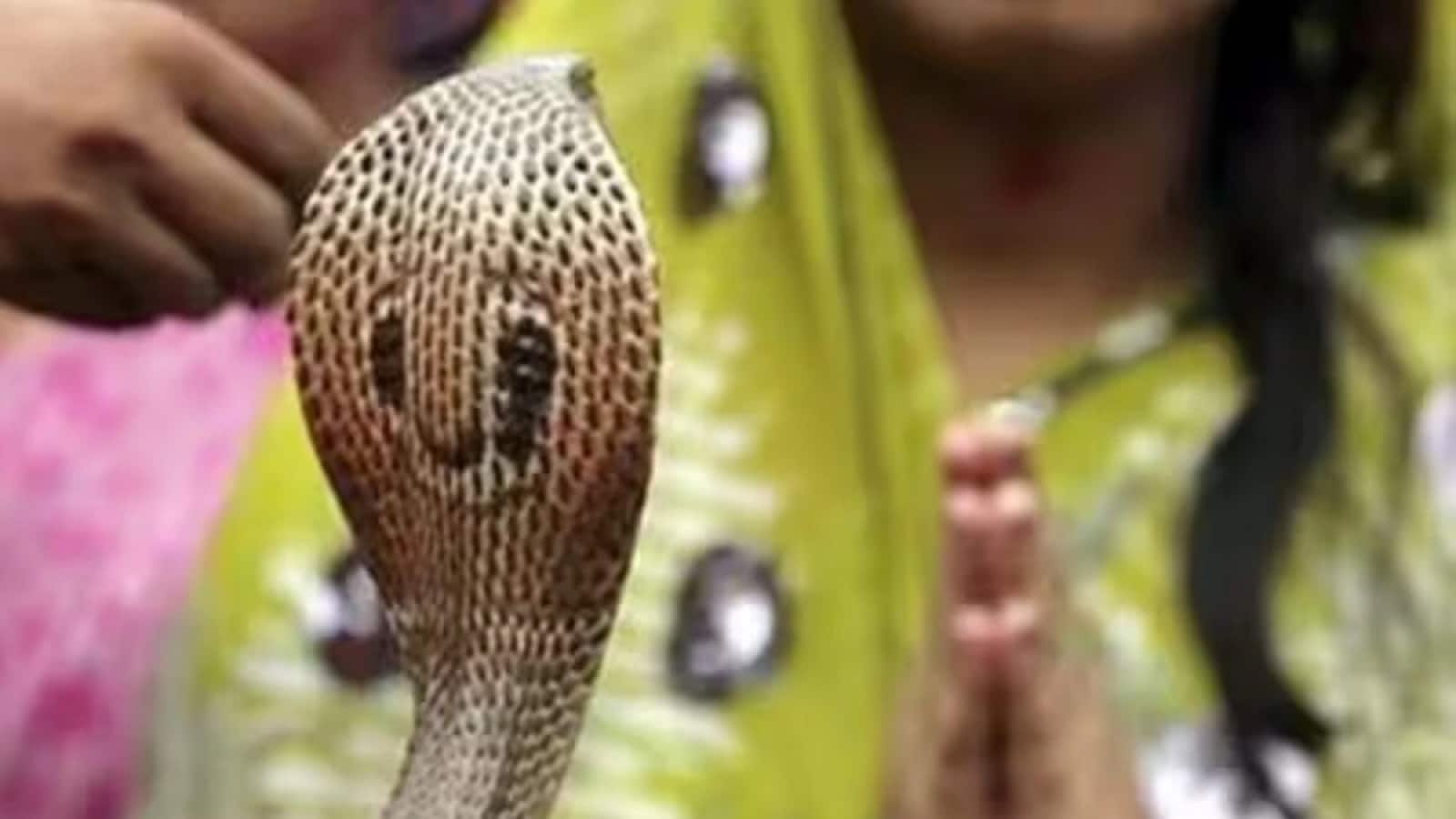 Nag Panchami 2025: ये उपाय दिलाएंगे कालसर्प दोष से मुक्ति, जानें तिथि और मुहूर्त