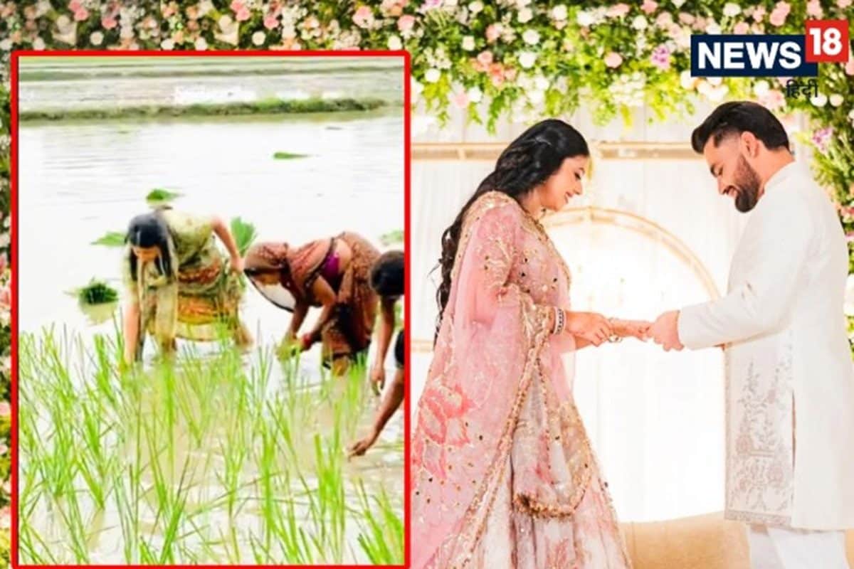 रिंकू सिंह की मंगेतर प्रिया सरोज खेत में कर रही काम, वीडियो आया सामने