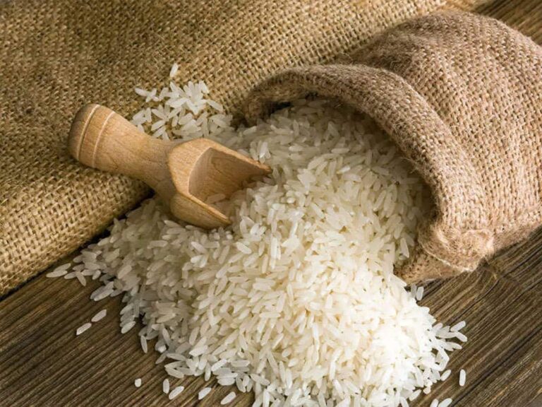 PDS Rice Scam: PDS चावल की चोरी पर सख्त हुई सरकार, पोर्ट पर लगाए बैरेकेडिंग