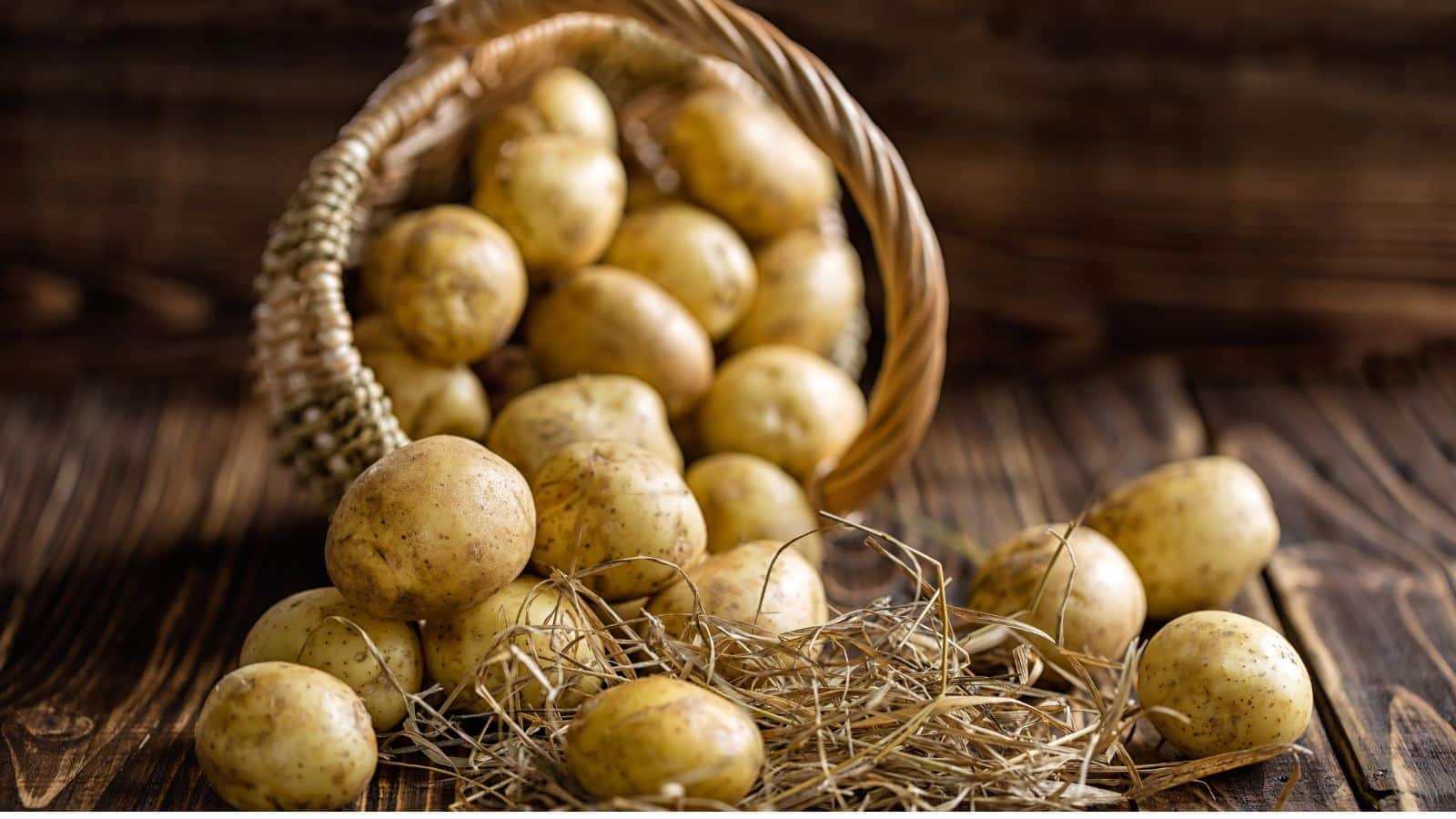 आप भी थोक में आलू खरीदते हैं, तो ये 7 टिप्स जरूरी हैं वरना बरसात में हो जाएगा सब बर्बाद!