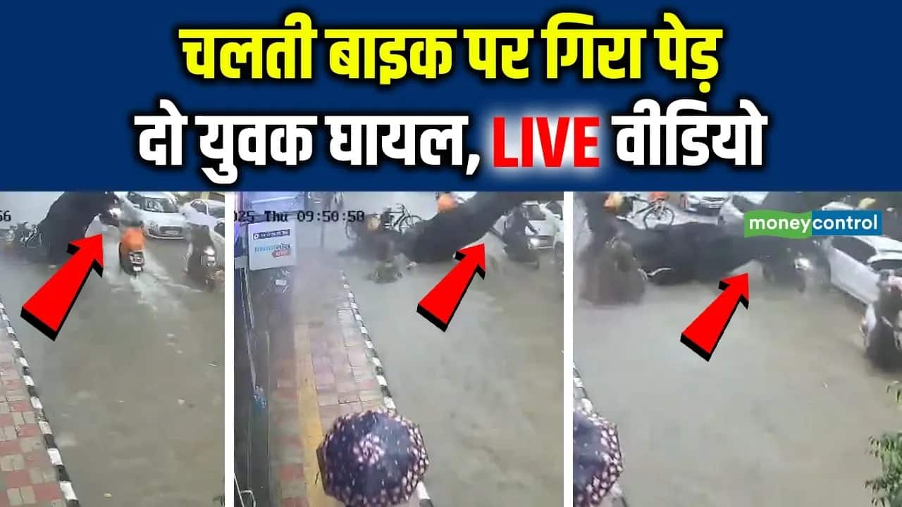 Delhi Kalkaji Tree Fall: चलती बाइक पर गिरा पेड़, युवक की हो गई मौत, LIVE वीडियो