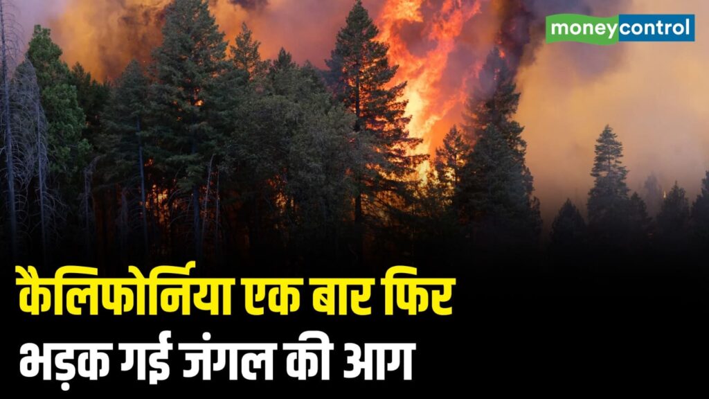 कैलिफोर्निया एक बार फिर भड़क गई जंगल की आग