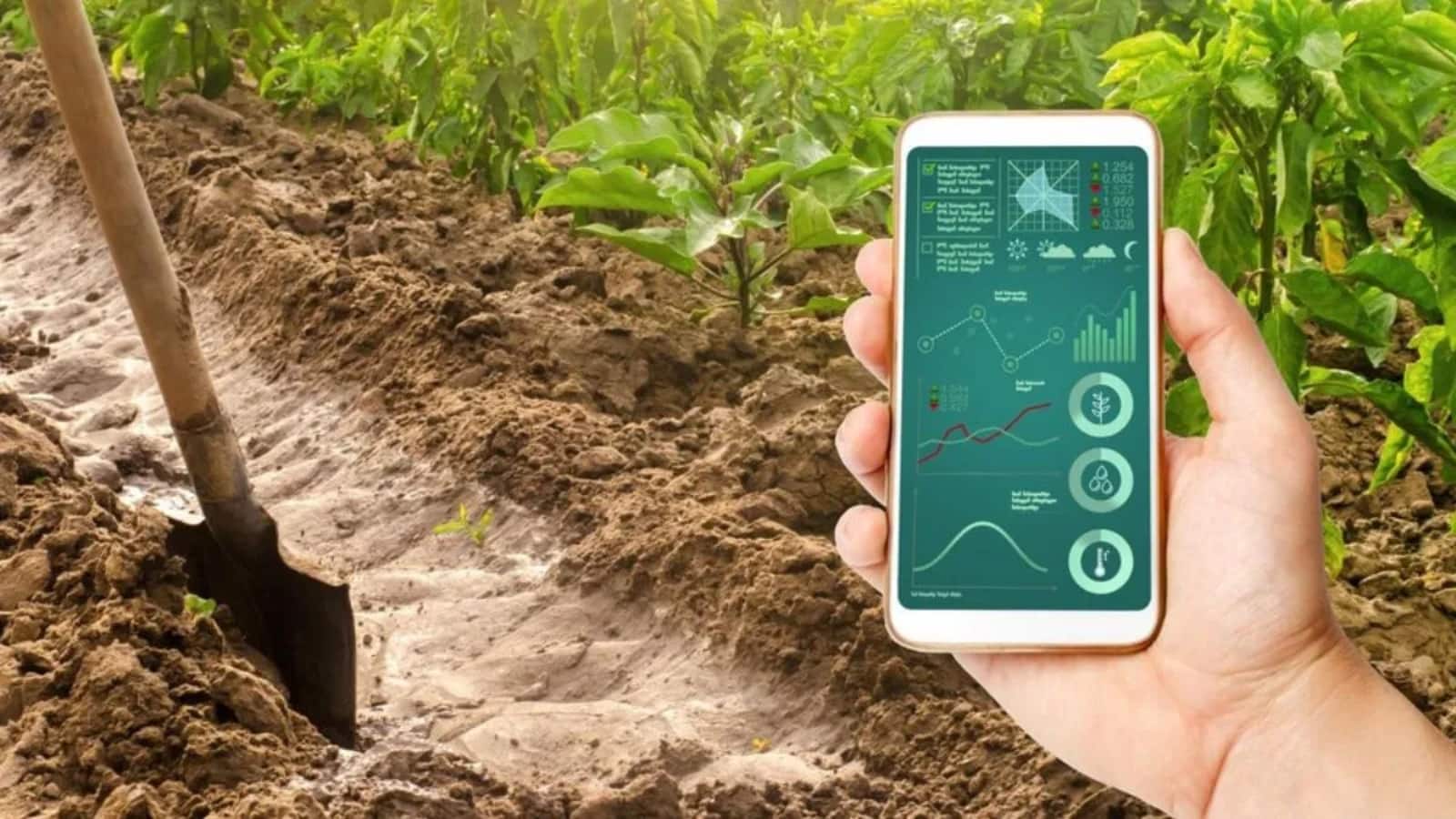 AI बताएगा फसल की सही बुवाई और कटाई का समय, मिट्टी और मौसम की देगा जानकारी