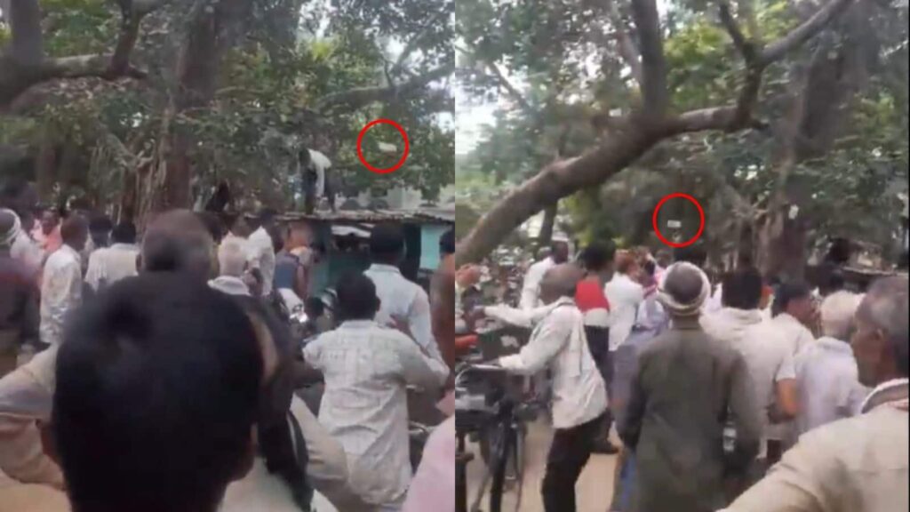 औरैया: ...जब पेड़ से होने लगी पैसों की बारिश! 500-500 के नोट लूटने के लिए लोगों में मची होड़, वीडियो वायरल