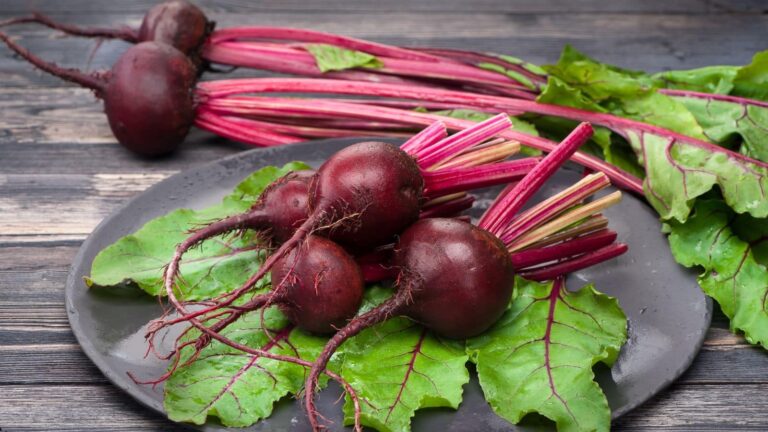 Beetroot Benefits: रोज चुकंदर खाने से होते हैं गजब के फायदे, खाते ही दिखाई देने लगेगा असर!