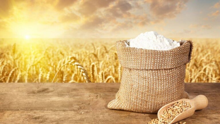 Business Idea: ₹2.50 लाख में शुरू करें धांसू बिजनेस, हर महीने होगी कमाई, जानें पूरी डिटेल