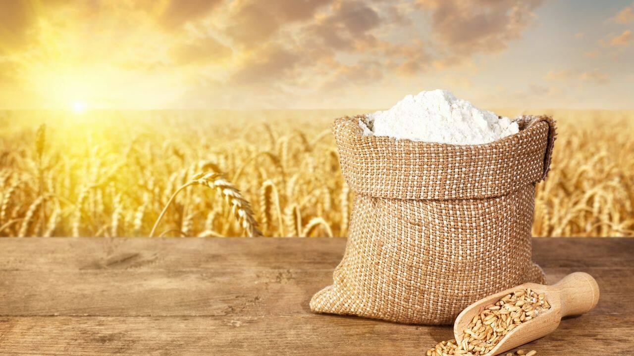 Business Idea: ₹2.50 लाख में शुरू करें धांसू बिजनेस, हर महीने होगी कमाई, जानें पूरी डिटेल