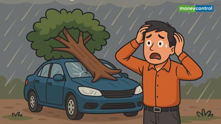 तूफानी बारिश में गाड़ी पर गिरा पेड़, तो क्या मिलेगा ऑटो इंश्योरेंस का क्लेम? जानिए क्या कहते हैं एक्सपर्ट