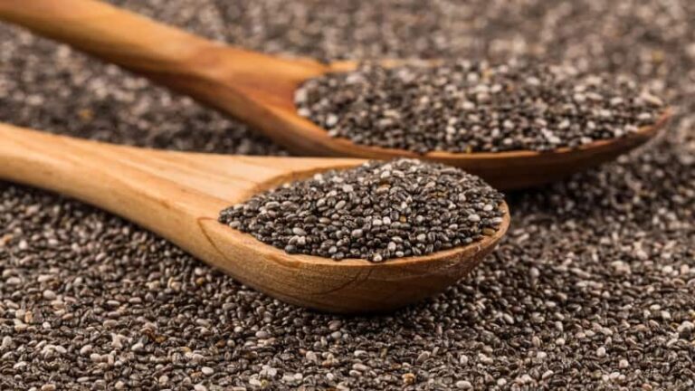 Health Tips: चिया सीड्स के क्या हैं स्वास्थ्य फायदे? जानिए क्यों है यह शरीर के लिए फायदेमंद, डॉक्टर  ने इसे बताया ताकतवर बीज!