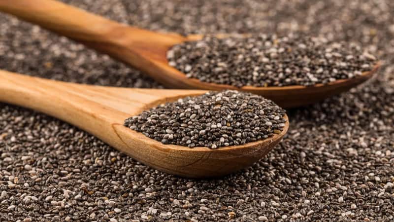 Health Tips: चिया सीड्स के क्या हैं स्वास्थ्य फायदे? जानिए क्यों है यह शरीर के लिए फायदेमंद, डॉक्टर  ने इसे बताया ताकतवर बीज!