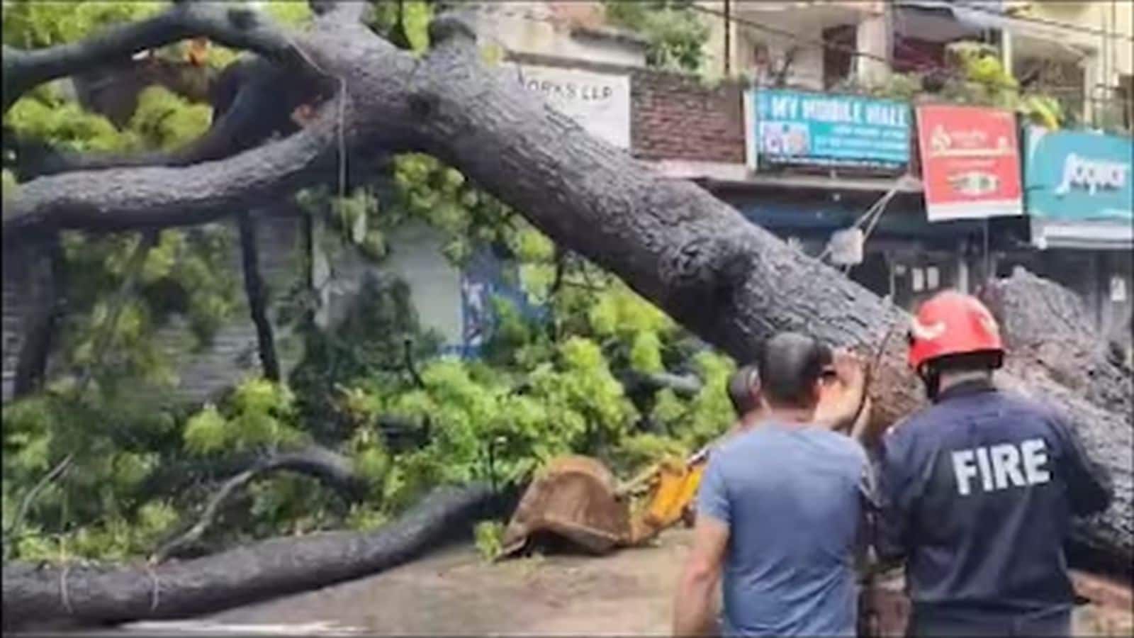 Delhi Rain: दिल्ली के कालकाजी में पेड़ गिरने से बाइक सवार की दबकर मौत, अरविंद केजरीवाल ने BJP पर साधा निशाना