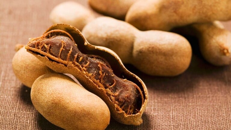 Diabetes: इमली के बीज से होगा कमाल, टाइप-2 डायबिटीज मरीज आज से ही शुरू करें सेवन