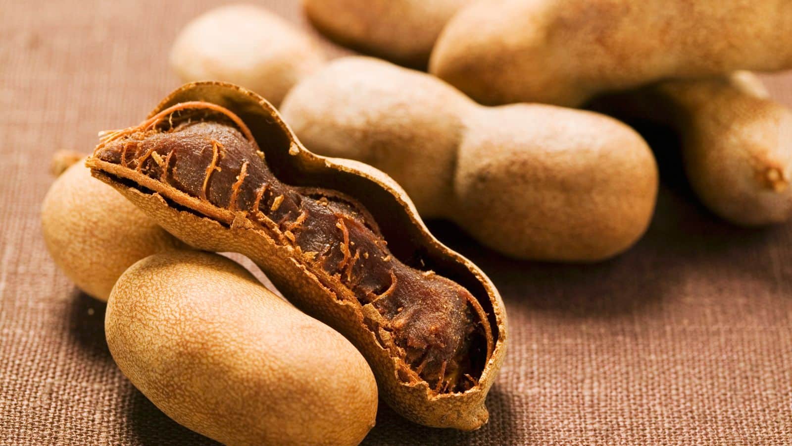 Diabetes: इमली के बीज से होगा कमाल, टाइप-2 डायबिटीज मरीज आज से ही शुरू करें सेवन