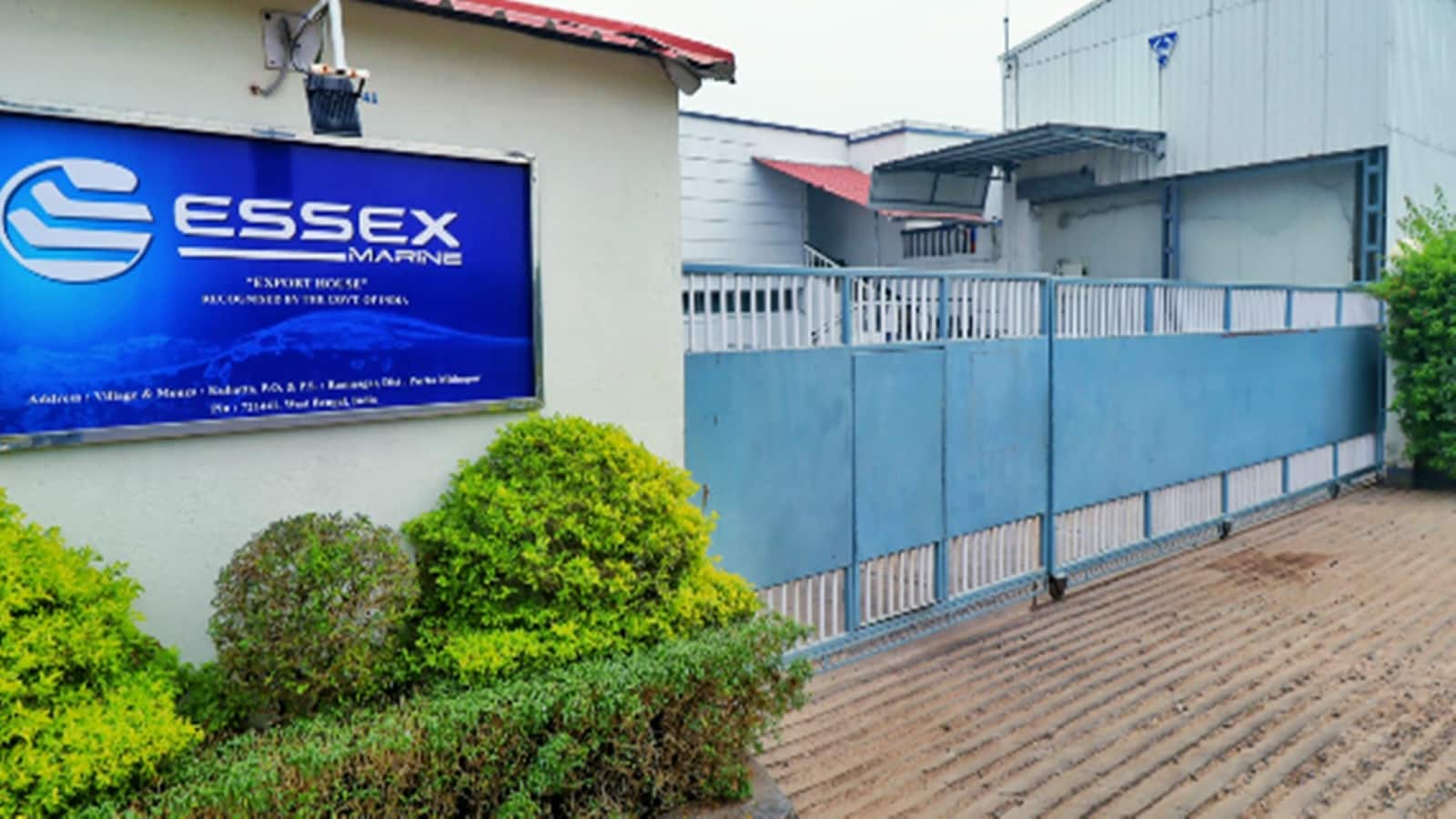 Essex Marine IPO Listing: ₹54 के शेयरों की फीकी एंट्री, 20% डिस्काउंट पर लिस्ट होने के बाद लोअर सर्किट