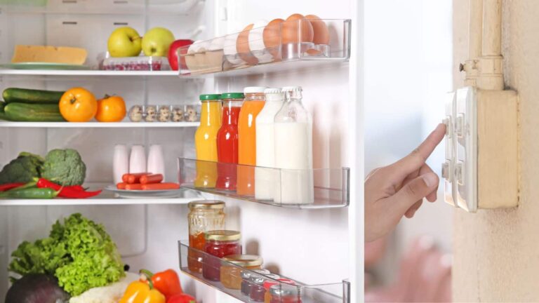 क्या बार-बार फ्रिज बंद करने से वाकई बचती है बिजली? अब जानिए असलियत