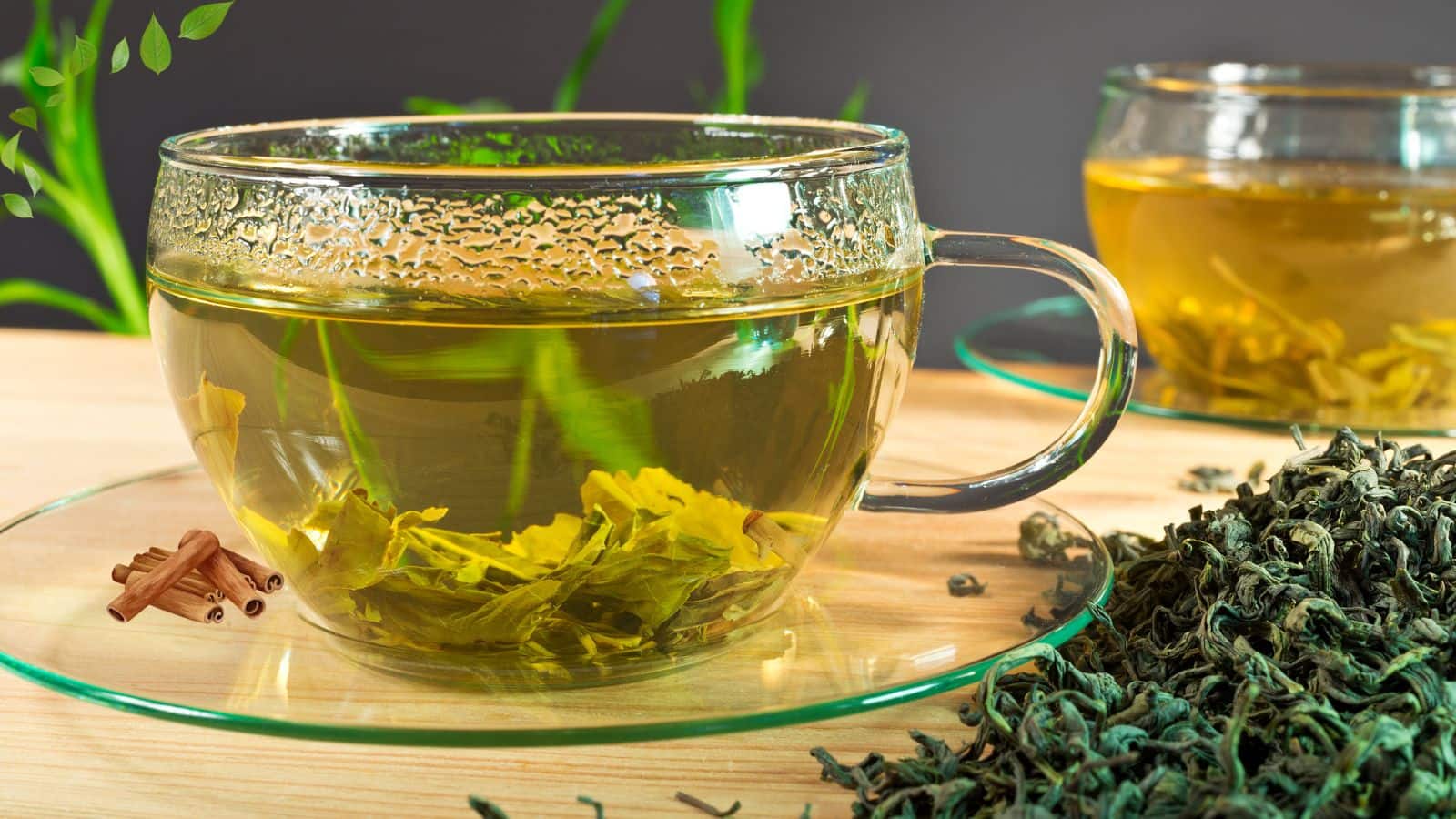 Green tea: इन लोगों को भूल कर भी नहीं पीना चाहिए ग्रीन टी, फायदे की जगह हो सकता है नुकसान