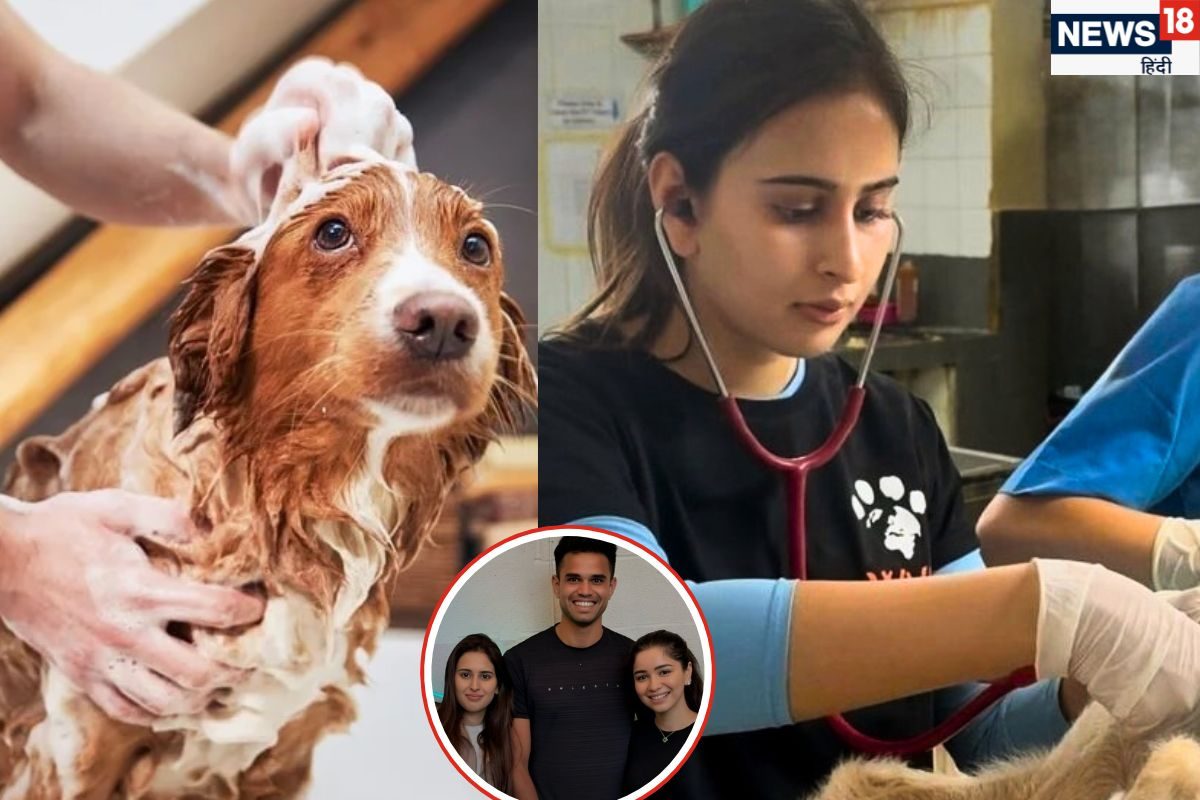 कुत्ते नहलाने के कितने पैसे लेती हैं अर्जुन की मंगेतर, लक्जरी पेट सैलून की ओनर