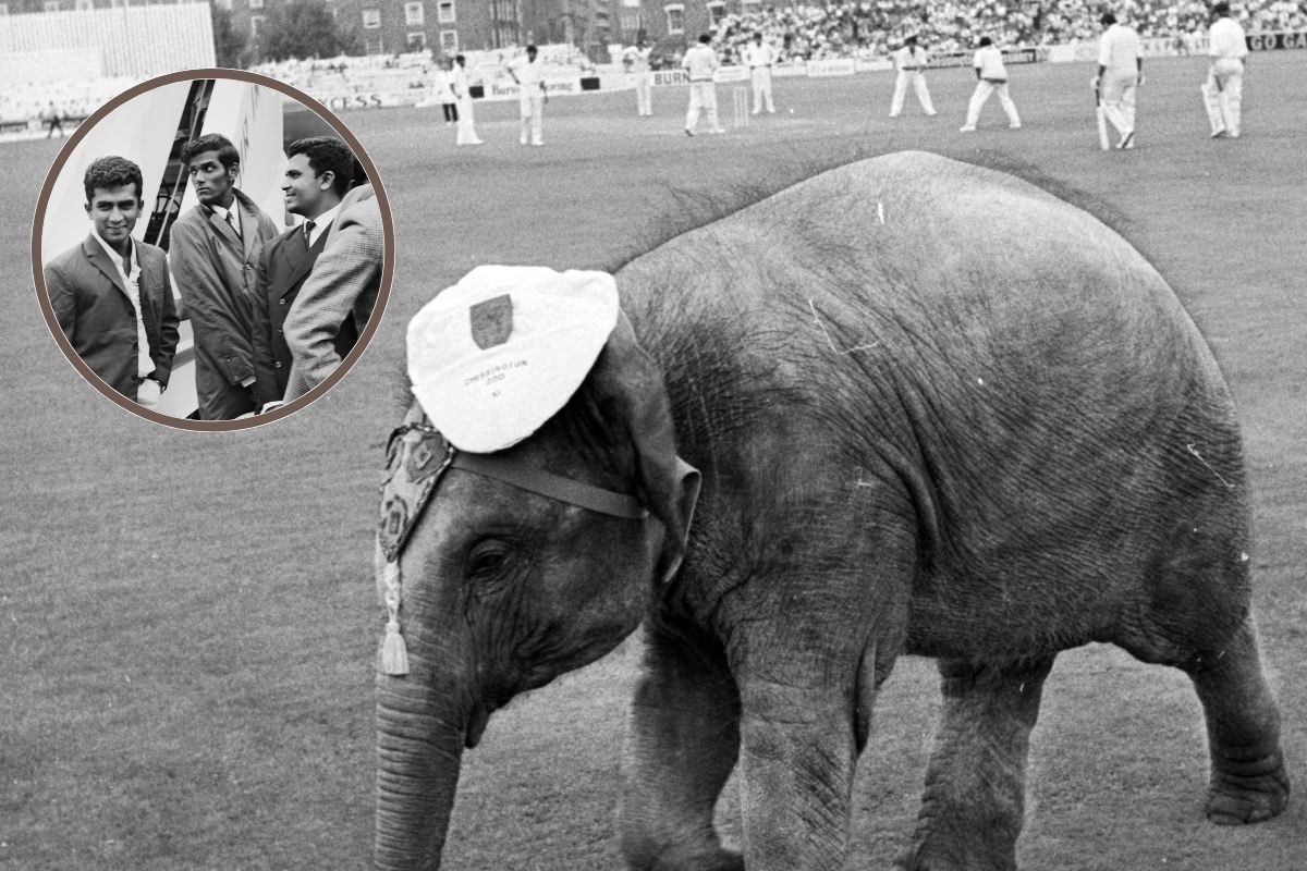 ओवल के मैदान पर उतरी हथिनी, गणेश चतुर्थी पर दिलाई IND की ENG में पहली जीत