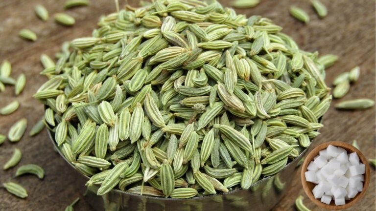 जानें क्यों हर होटल बिल के साथ परोसी जाती है सौंफ और मिश्री