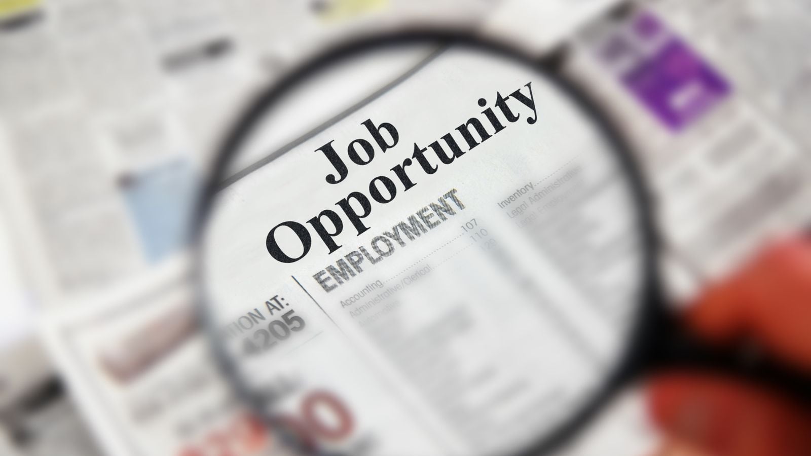 WBSSC Recruitment 2025: पश्चिम बंगाल में 8477 नॉन-टीचिंग स्टाफ पदों पर निकली भर्ती, 16 सितंबर से करें अप्लाई