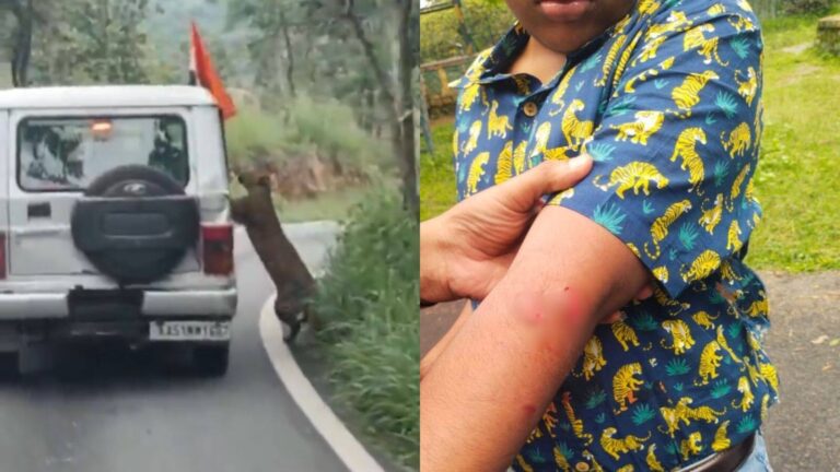 बेंगलुरु में सफारी के दौरान तेंदुए ने लड़के पर किया हमला, देखें वीडियो