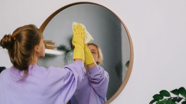 Mirror Cleaning Tips: शीशे पर जमी जिद्दी गंदगी होगी गायब, अपनाएं ये आसान घरेलू नुस्खे