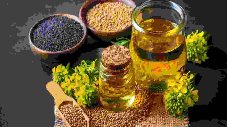 Mustard Oil: घरेलू  बाजार में सरसों का दाम चढ़ा, 5 सालों में पहली बार हुआ सरसों तेल का इंपोर्ट