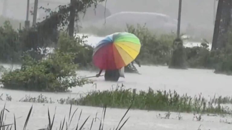 Maharashtra Heavy Rain: ठाणे, पालघर में लगातार बारिश से गांवों का संपर्क टूटा, 200 लोगों को सुरक्षित जगहों पर पहुंचाया
