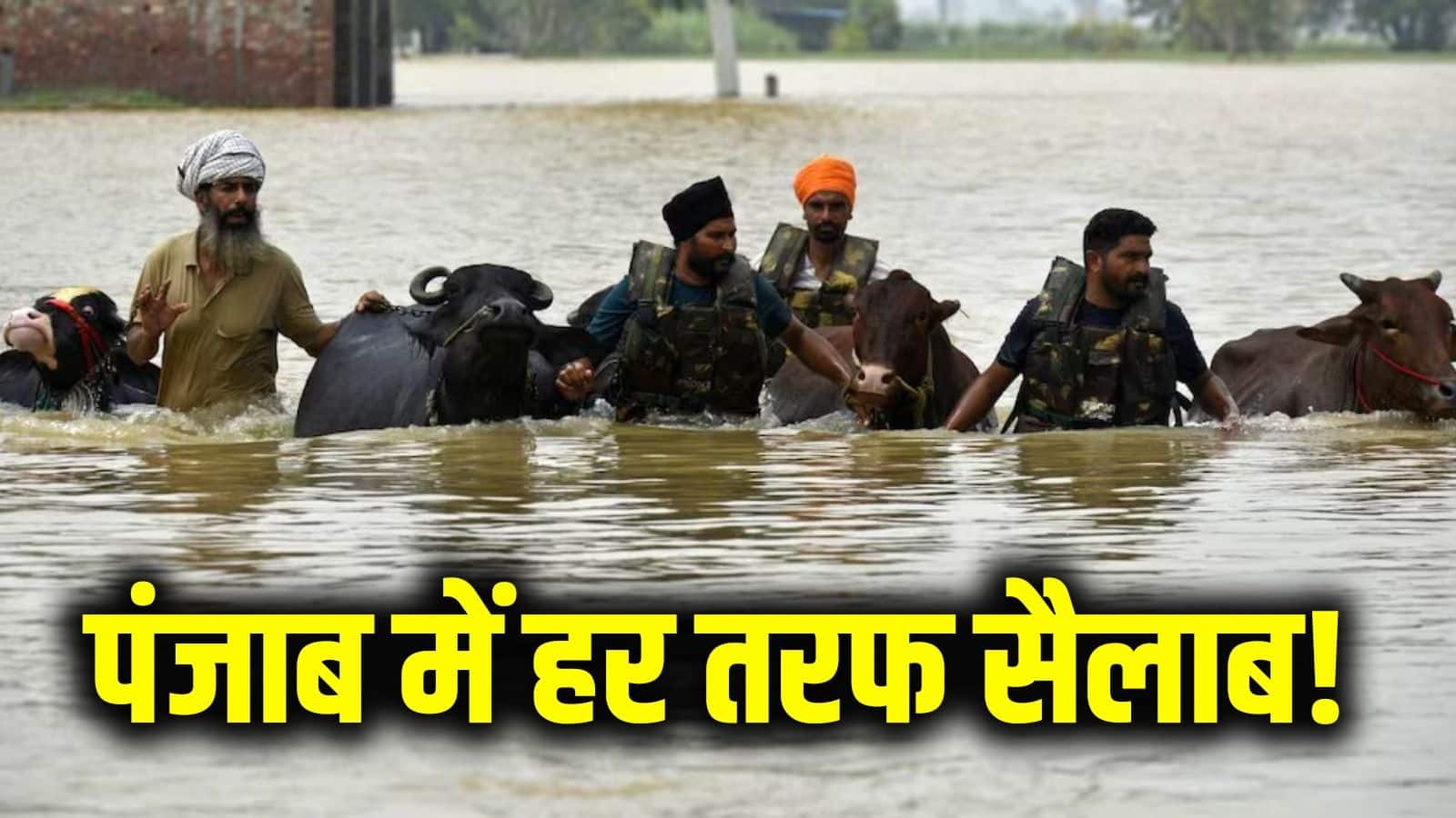 Punjab Flood: पंजाब में बाढ़ से त्राहिमाम! ब्यास नदी का जलस्तर और बढ़ा, कपूरथला में अलर्ट जारी