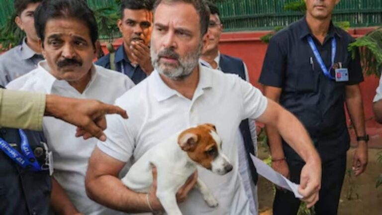 आवारा कुत्तों पर SC के आदेश पर देश भर में छिड़ा विवाद, राहुल गांधी ने फैसले को बताया 'क्रूर और अदूरदर्शी'