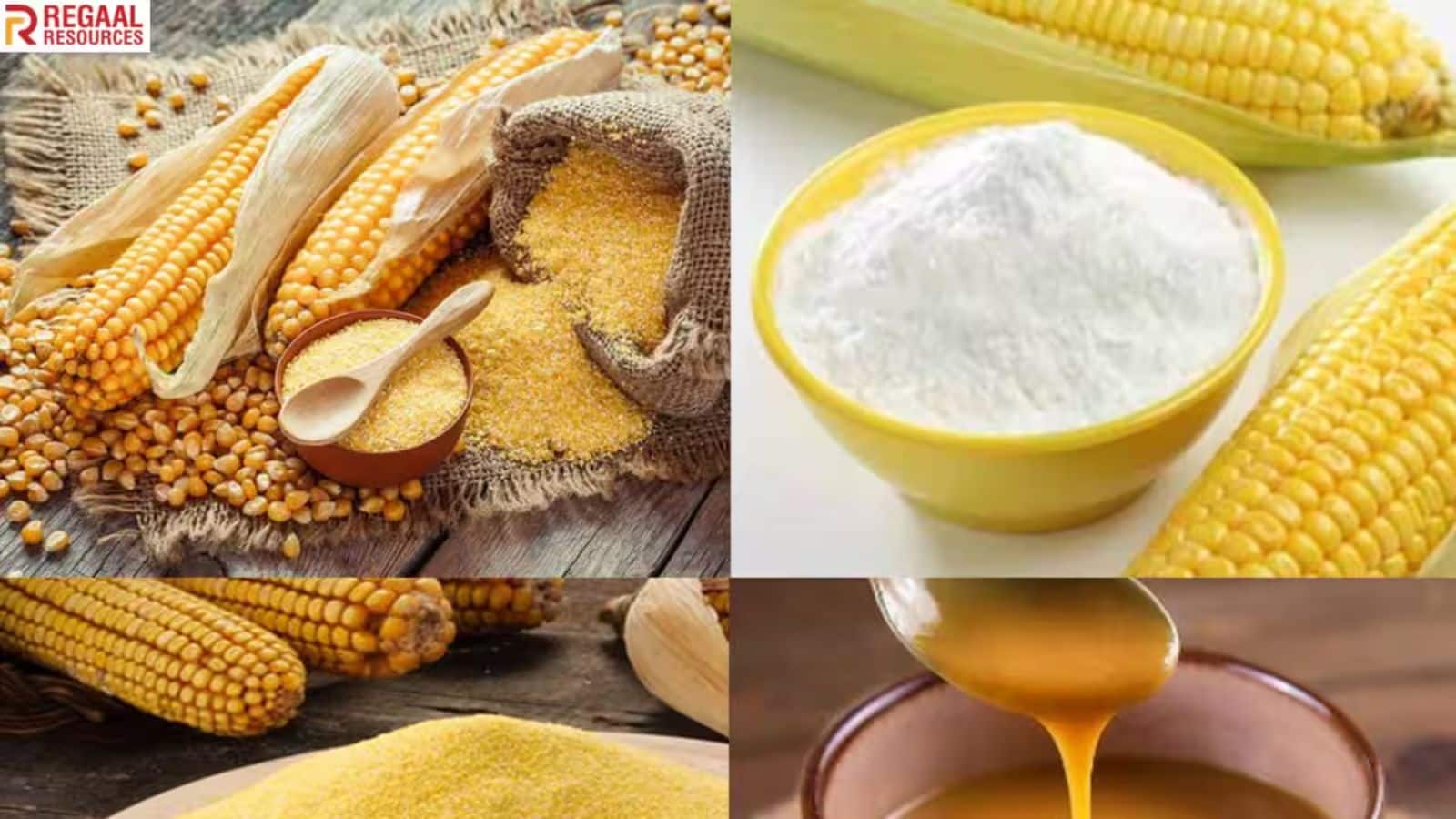 Regaal Resources IPO: आज होगा अलॉटमेंट आउट, इन आसान स्टेप्स से देखिए अपना स्टेटस, लेटेस्ट GMP से मिल रहे बंपर लिस्टिंग गेन के संकेत!