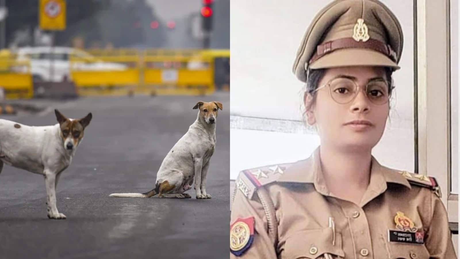 Stray Dog Row: आवारा कुत्ते की वजह से तेजतर्रार महिला दारोगा की मौत, UPSC की भी तैयारी कर रही थीं ऋचा सचान