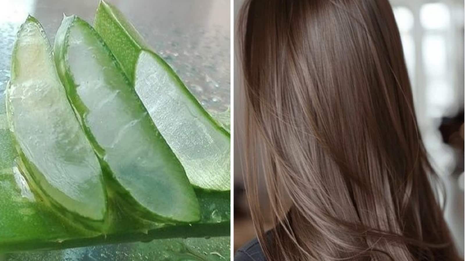 Aloe Vera Juice/gel for hair growth: लंबे और शाइनी बालों के लिए अमृत, जानें इस्तेमाल का सही तरीका