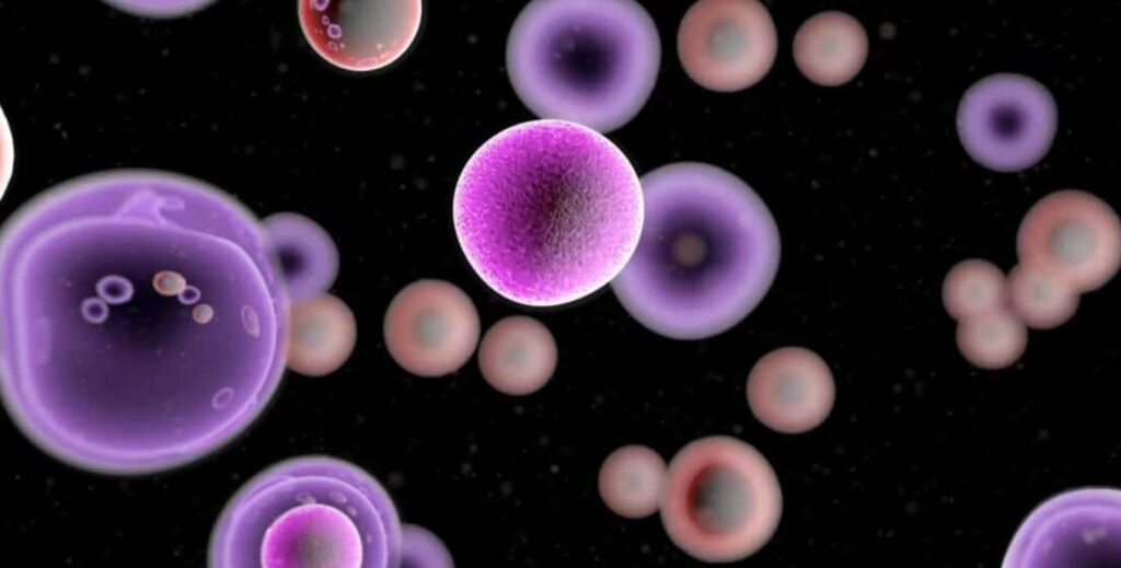 Cancer: क्या किसी भी तरह के कैंसर में होती है बचने की उम्मीद? डॉक्टर ने बताया बचाव के लिए आसान दिनचर्या जो आपकी सेहत को  रखेगा कैंसर से दूर!