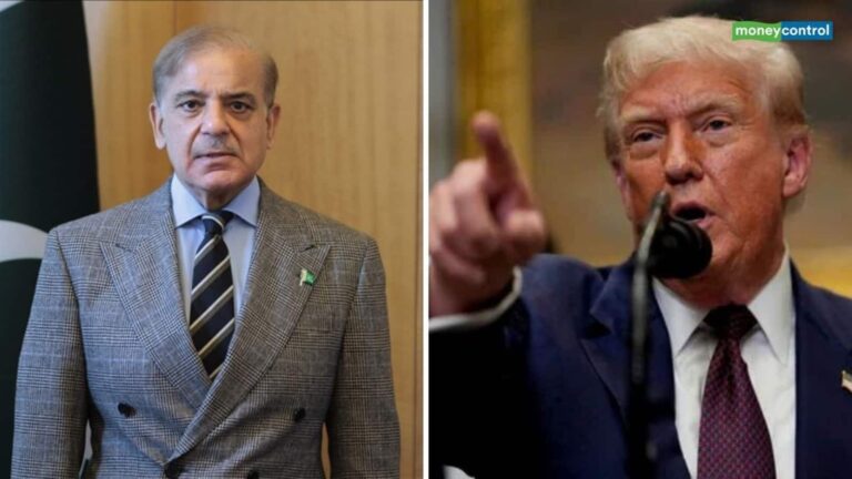 Trump Tariffs: ट्रेड डील के बाद अब हल्की हुई टैरिफ की मार, पाकिस्तान के सामानों पर 19% की दर से लगेगा शुल्क